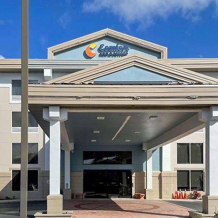 Comfort Inn & Suites Sarasota I75 Buitenkant foto