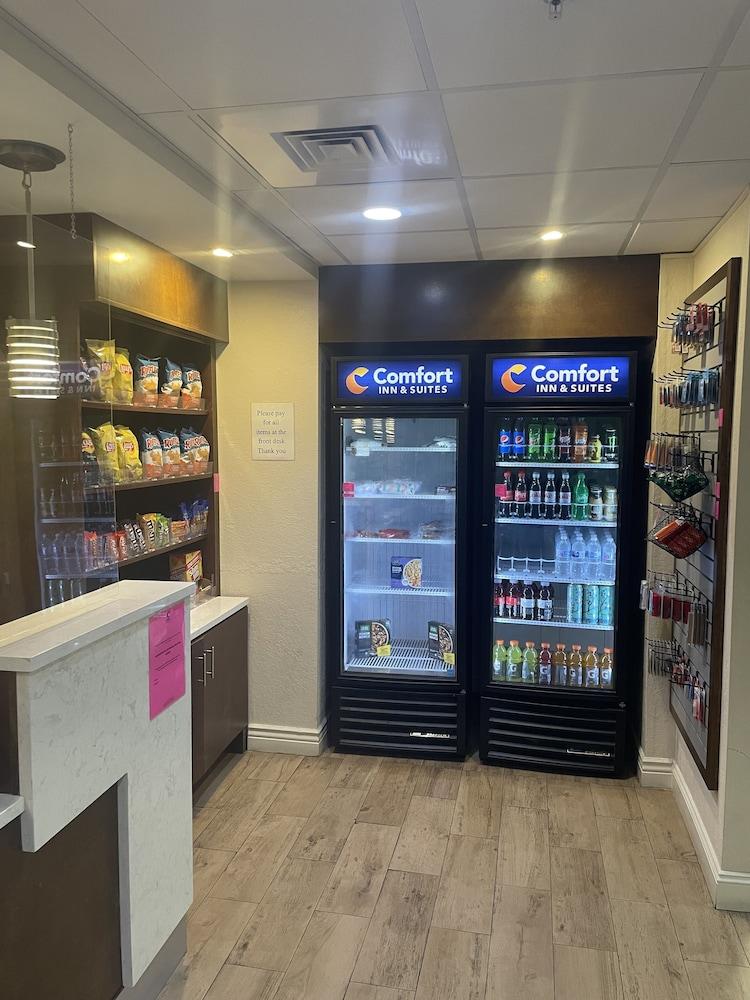 Comfort Inn & Suites Sarasota I75 Buitenkant foto